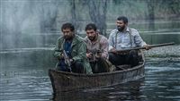 أفلام مهرجان فجر الـ43 في طريقها للعرض