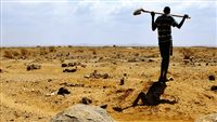 "زوجة حفار القبور" الصومالي يقتنص جائزة مهرجان واغادوغو
